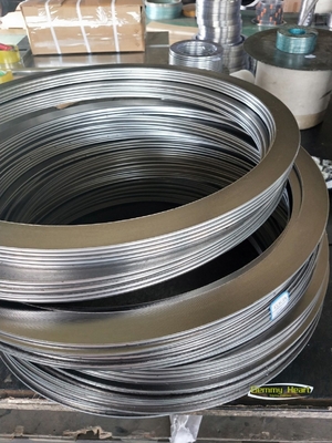 SWG-SS304 Spiral Wund Dichtung für eine überlegene Dichtungsleistung