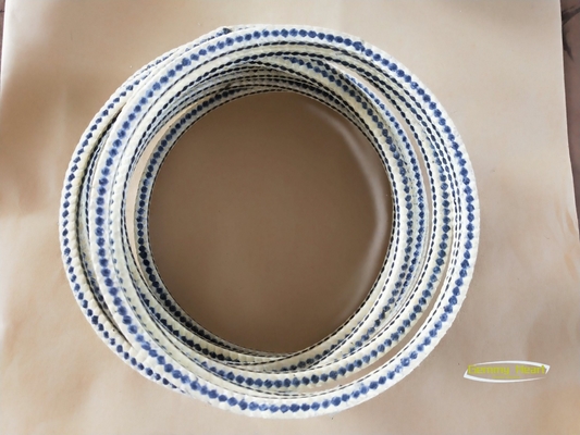 Anpassung von Flexible Graphit- und Metallspirale-Wunddichtung für fortschrittliche Technologie